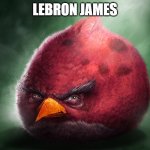 Real Terrence | LEBRON JAMES | image tagged in real terrence,racism,childhood obesity | made w/ Imgflip meme maker