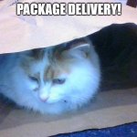 Cat in the bag! | PACKAGE DELIVERY! | image tagged in cat in the bag | made w/ Imgflip meme maker