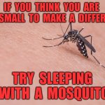 Making a difference | IF  YOU  THINK  YOU  ARE  TOO  SMALL  TO  MAKE  A  DIFFERENCE; TRY  SLEEPING  WITH  A  MOSQUITO | image tagged in mosquito,making a difference,try sleeping,insect | made w/ Imgflip meme maker