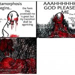 the metamorphosis