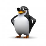 Cool Penguin