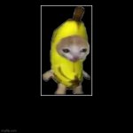 banana cat template
