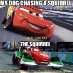 real | MY DOG CHASING A SQUIRREL; THE SQUIRREL | image tagged in i am speed but triple speed | made w/ Imgflip meme maker