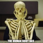Waiting Skeleton | INTERESTING FACTOID . . . MEMEs by Dan Campbell; THE HUMAN BODY HAS ENOUGH BONE MATERIAL TO MAKE UP AN ENTIRE SKELETON ! | image tagged in waiting skeleton | made w/ Imgflip meme maker