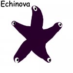 Echinova