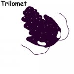 Trilomet