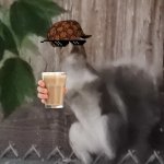 Eugene givs choccy milk | EUGENE THE SQUIRREL SAYS; TAKE DA CHOCCY MILK | image tagged in eugene the foreskin eating squirrel | made w/ Imgflip meme maker