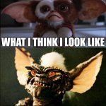 jk | WHAT I THINK I LOOK LIKE; WHAT I REALLY LOOK LIKE | image tagged in gremlin mogwai,gremlins,gremlin,mogwai | made w/ Imgflip meme maker