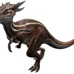 Dracorex GEN 2