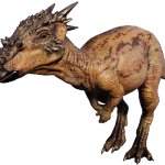 Dracorex (JWE Design)