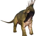 Amargasaurus (JWE Design)