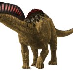 Amargasaurus (Mattel Design)