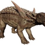 Sauropelta (JWE Design)