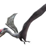 Quetzalcoatlus (JWA Design)