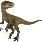 Velociraptor 3