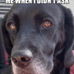 Dog | ME WHEN I DIDN’T ASK | image tagged in me when i asked | made w/ Imgflip meme maker