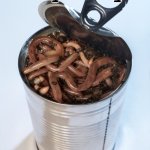 Can of worms | Close the can quickly!! Keep the worms where they are!!! | image tagged in can of worms | made w/ Imgflip meme maker