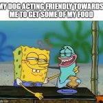 friendly spongebob | MY DOG ACTING FRIENDLY TOWARDS 
ME TO GET SOME OF MY FOOD | image tagged in spongebob fish,dog,spongebob,funny,spongebob squarepants | made w/ Imgflip meme maker
