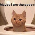 maybe i am the poop