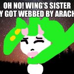 Oh dear! | OH NO! WING’S SISTER SUZY GOT WEBBED BY ARACHNA! | image tagged in night sky,web | made w/ Imgflip meme maker