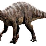 Iguanodon (JWD Design)