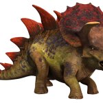 Stegoceratops (JWA Design)