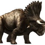 Nasutoceratops (JWTG Design)