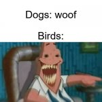 CAW! CAW! | Cats: meow
 
Dogs: woof
 
Birds: | image tagged in high-pitched demonic screeching,birds | made w/ Imgflip meme maker