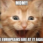 Excited Cat | MOM!! THE EUROPEANS ARE AT IT AGAIN!! | image tagged in memes,excited cat | made w/ Imgflip meme maker