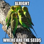 seed | ALRIGHT; WHERE ARE THE SEEDS | image tagged in the meeting | made w/ Imgflip meme maker