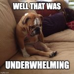 Disappointed Dog | WELL THAT WAS; UNDERWHELMING | image tagged in sad dog | made w/ Imgflip meme maker