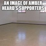 Empty Room | AN IMAGE OF AMBER HEARD'S SUPPORTERS | image tagged in empty room | made w/ Imgflip meme maker