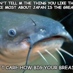 More Catfish | DON'T TELL M THE THING YOU LIKE THING YOU LIKE MOST ABOUT JAPAN IS THE GREAT WALL; I DON'T CARE HOW BIG YOUR BREAST ARE | image tagged in catfish catfish,dating | made w/ Imgflip meme maker