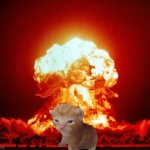 How popular can nuke cat get | image tagged in nuke,nukes,cat,memes | made w/ Imgflip meme maker