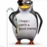Dont mind me just stealing the meme below | image tagged in i hope i catch a good meme | made w/ Imgflip meme maker