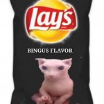 Lays Do Us A Flavor Blank Black | BINGUS FLAVOR; YUM! | image tagged in lays do us a flavor blank black | made w/ Imgflip meme maker