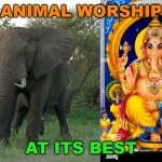 animal worship at its best | ANIMAL WORSHIP; AT ITS BEST | image tagged in worship nature | made w/ Imgflip meme maker