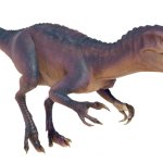 Australovenator (JWE Design)