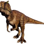 Metriacanthosaurus 2 (Website Design)