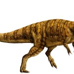 Metriacanthosaurus 3 (Website Design)