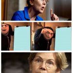 Liz Warren Hypocrisy meme