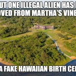 Obama Martha's Vineyard | ALL BUT ONE ILLEGAL ALIEN HAS BEEN  
REMOVED FROM MARTHA'S VINEYARD; ONE HAD A FAKE HAWAIIAN BIRTH CERTIFICATE | image tagged in obama martha's vineyard | made w/ Imgflip meme maker