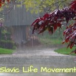 rainy day | Slavic Life Movement | image tagged in rainy day,slavic life movement | made w/ Imgflip meme maker