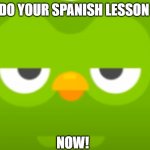 Duolingo | DO YOUR SPANISH LESSON; NOW! | image tagged in duolingo | made w/ Imgflip meme maker