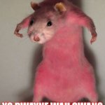 Rat | YO DWAYNE WAH GWAN? | image tagged in rat | made w/ Imgflip meme maker