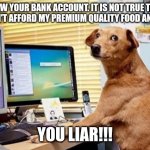 You liar | I SAW YOUR BANK ACCOUNT. IT IS NOT TRUE THAT YOU CAN'T AFFORD MY PREMIUM QUALITY FOOD ANY MORE. YOU LIAR!!! | image tagged in no idea | made w/ Imgflip meme maker