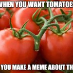 Tomatoes For The Win | WHEN YOU WANT TOMATOES; SO YOU MAKE A MEME ABOUT THEM | image tagged in tomato,tomatoes,food,silly,random,wait what | made w/ Imgflip meme maker