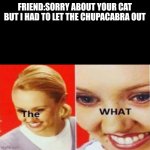 Hol up | FRIEND:SORRY ABOUT YOUR CAT BUT I HAD TO LET THE CHUPACABRA OUT | image tagged in the what | made w/ Imgflip meme maker