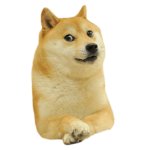 Doge but PNG