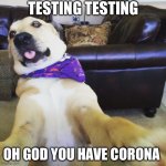 Ahhhhhhhhhhhhhhhhhhhhhhhaaaaaaaaaaaaaaaahhhhh | TESTING TESTING; OH GOD YOU HAVE CORONA | image tagged in funny dog meme | made w/ Imgflip meme maker